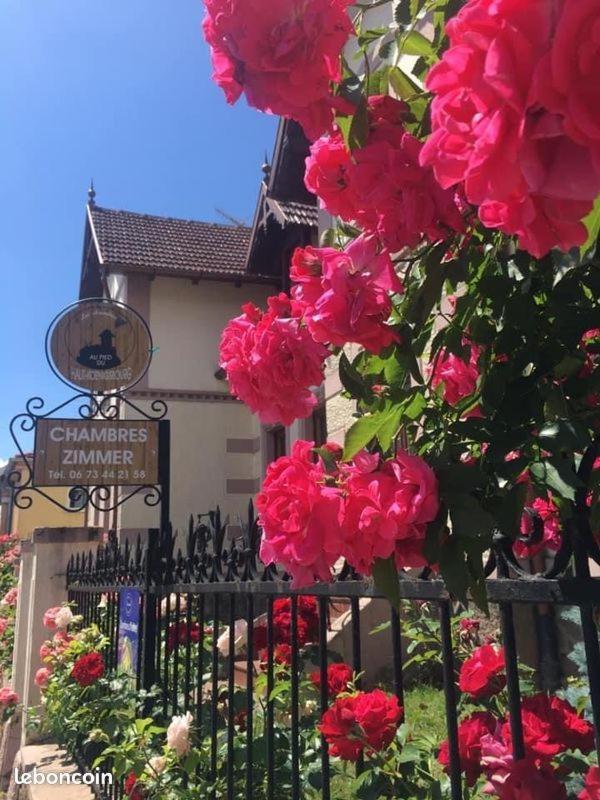 Gites Au Pied Du Haut-Koenigsbourg Кинцхайм Экстерьер фото